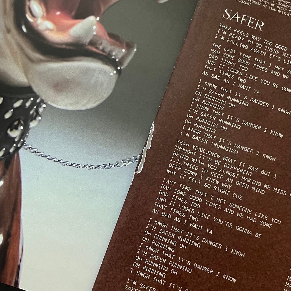 tyla 사인 LP vinyl 상품이미지5