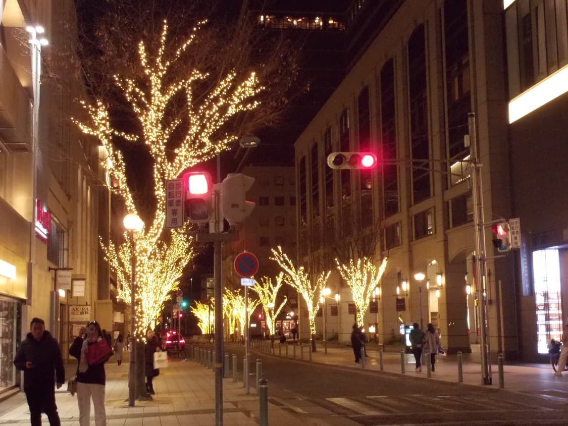 니콘 쿨픽스 S30 (작례 확인✨) Nikon coolpix S30 상품이미지10