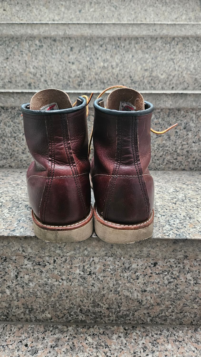 레드윙 8138 목토 브라이어 오일 슬릭 290 11e 상품이미지7