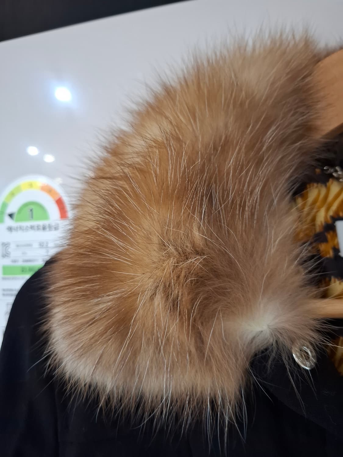 돌체앤가바나 퍼 자켓 상품이미지3