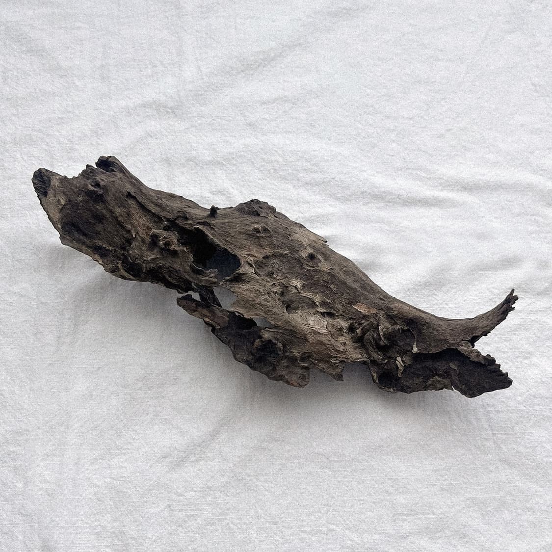 wood object 036 상품이미지4