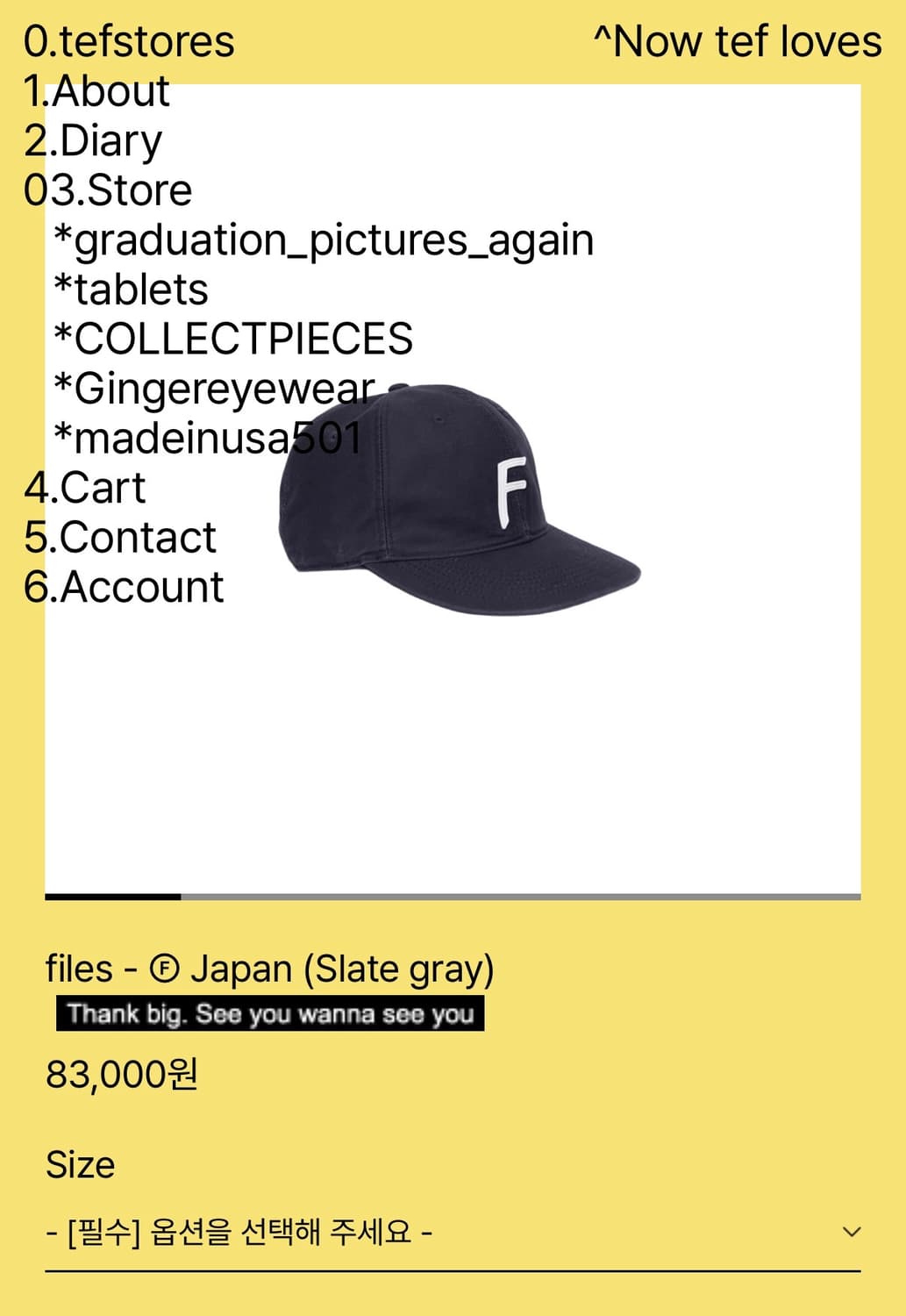 테프스토어즈  files - Ⓕ Japan (Slate gray) L 상품이미지1