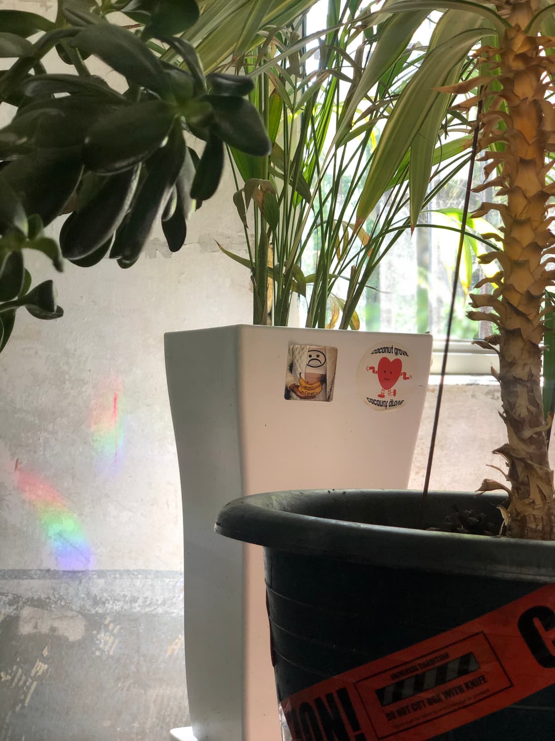 Zgong 개인 상품이미지1