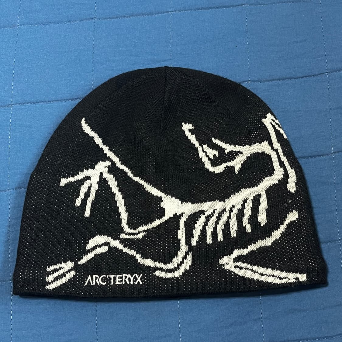 아크테릭스 버드 헤드 토크 오르카 비니 상품이미지1