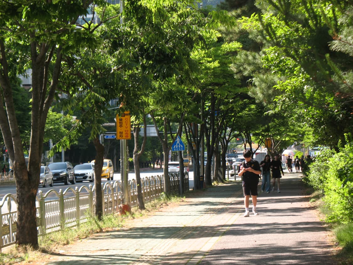 작례O 캐논 파워샷 A630 디카 디지털 카메라 상품이미지8