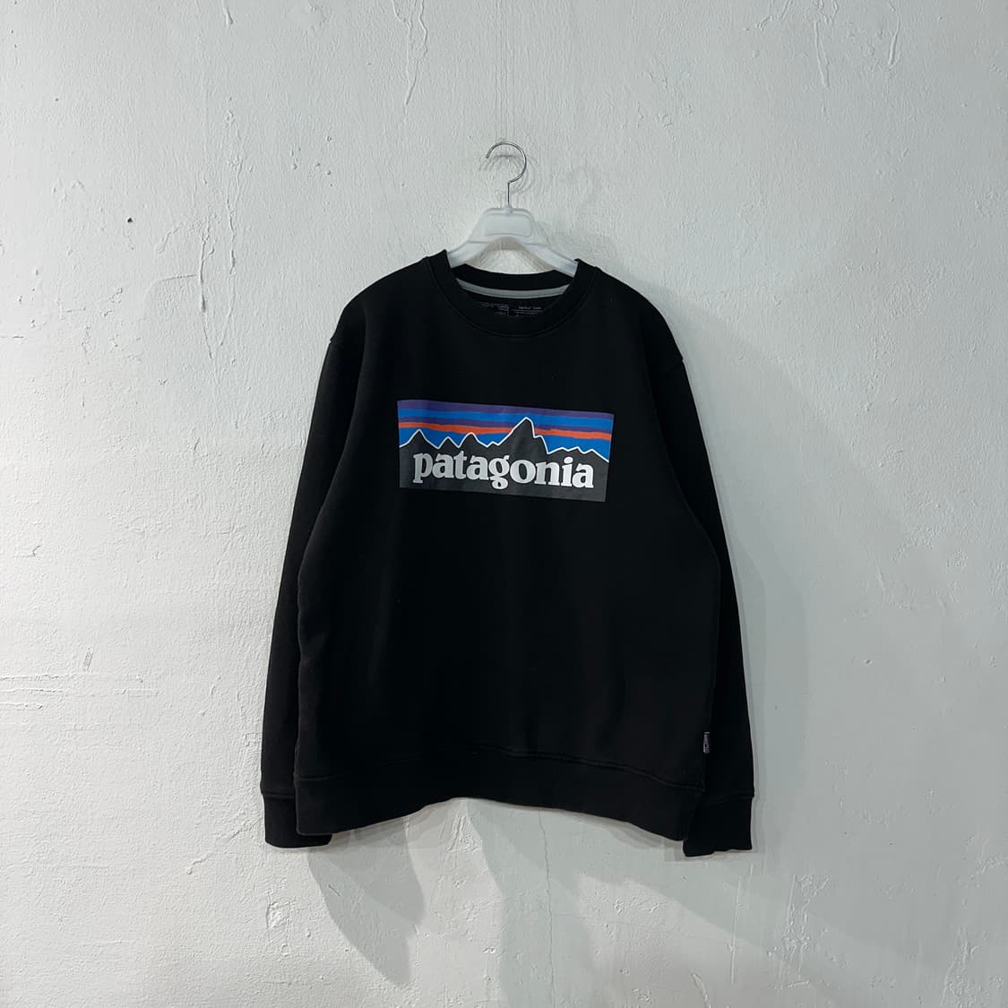 파타고니아 기모 맨투맨 L 상품이미지1