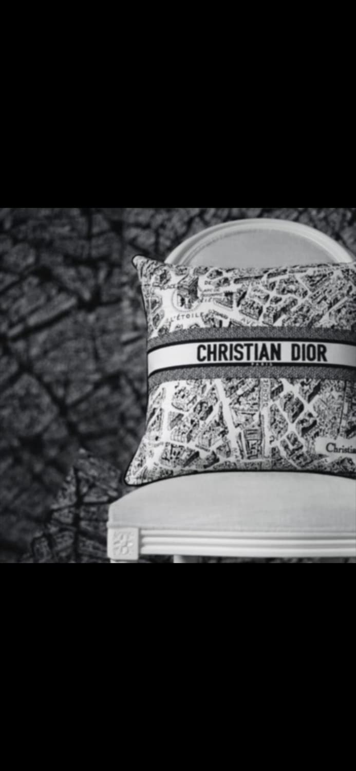 디올 플랑 드 파리 쿠션 새상품 상품이미지1