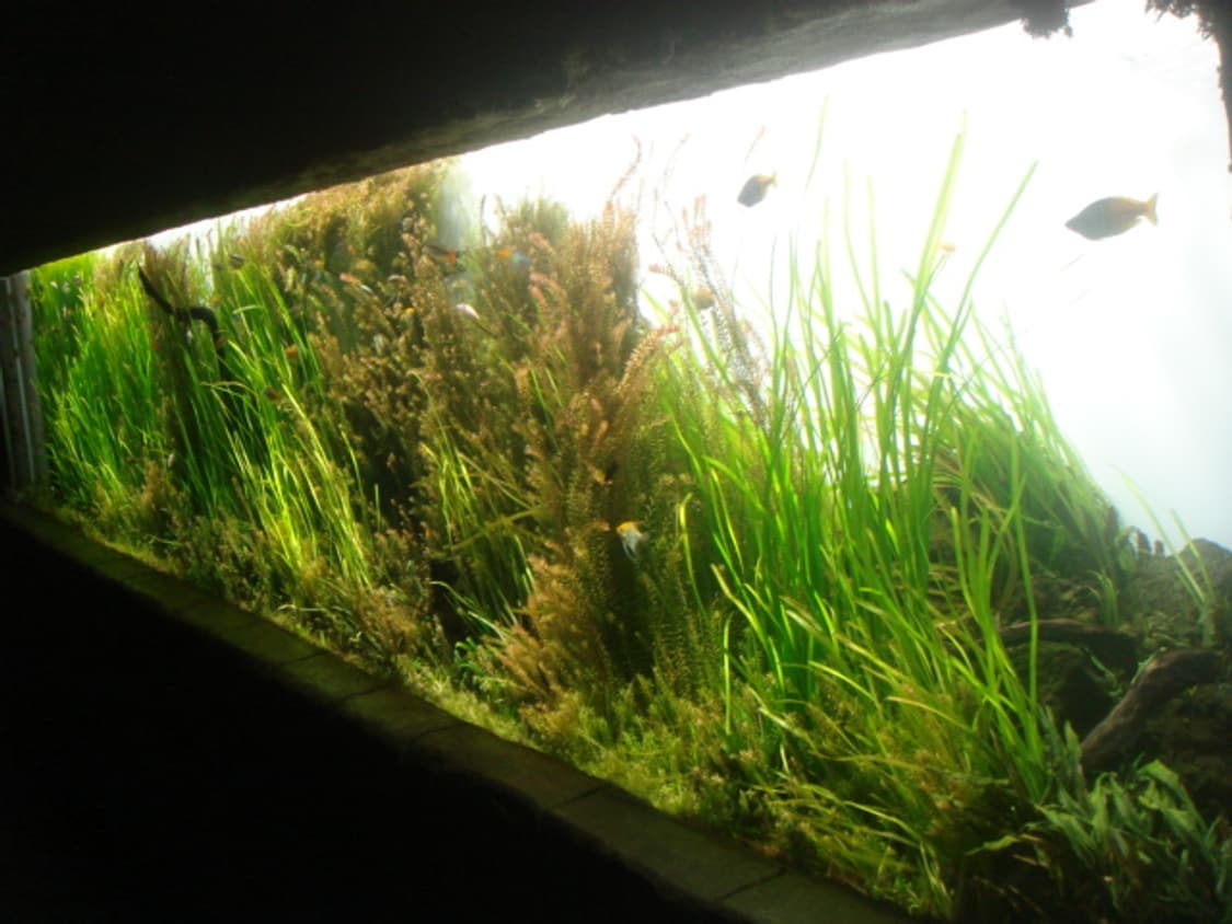 일본 소니 빈티지디카 슬라이드렌즈 작례ok 사이버샷 깨끗한 레트로카메 상품이미지5