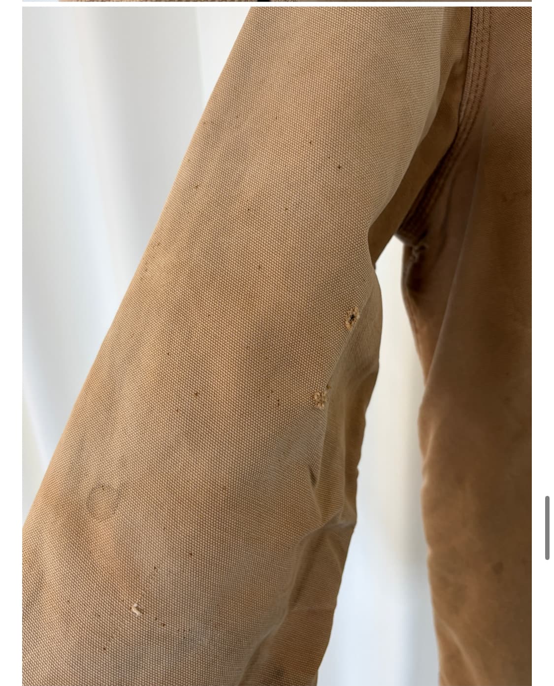 CARHARTT chore jacket 상품이미지9