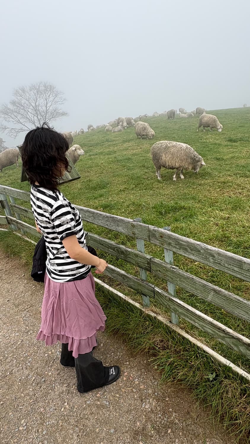 빈티지 스커트 상품이미지1