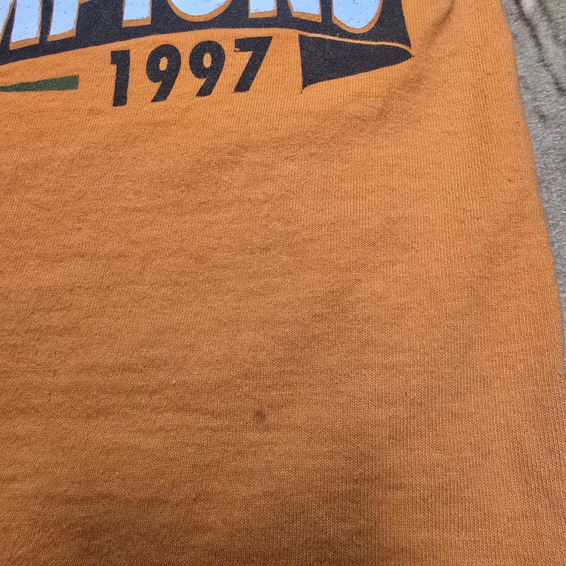Vintage 90s salem sportswear 티셔츠 상품이미지2
