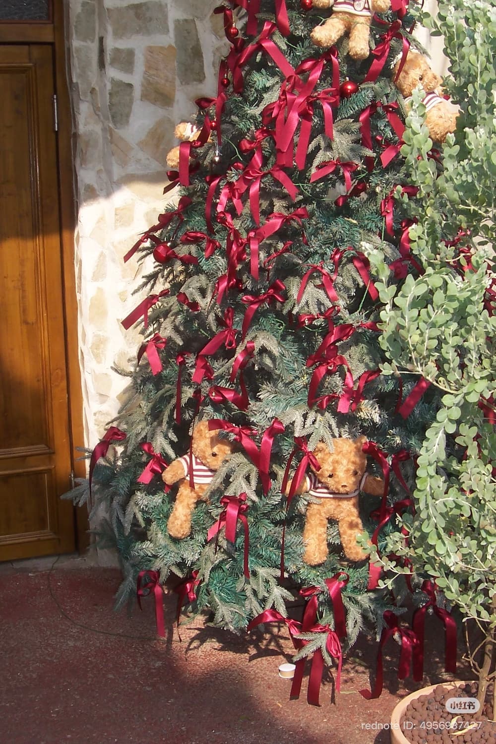 필름감성!) 코닥 이지쉐어 cx6330 풀박 미사용 상품이미지7