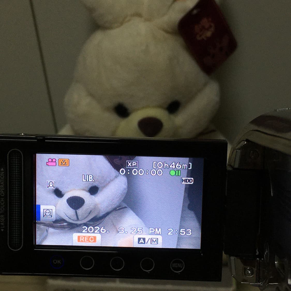 JVC Everio GZ-HD300-S HDD/SD 캠코더 상품이미지8