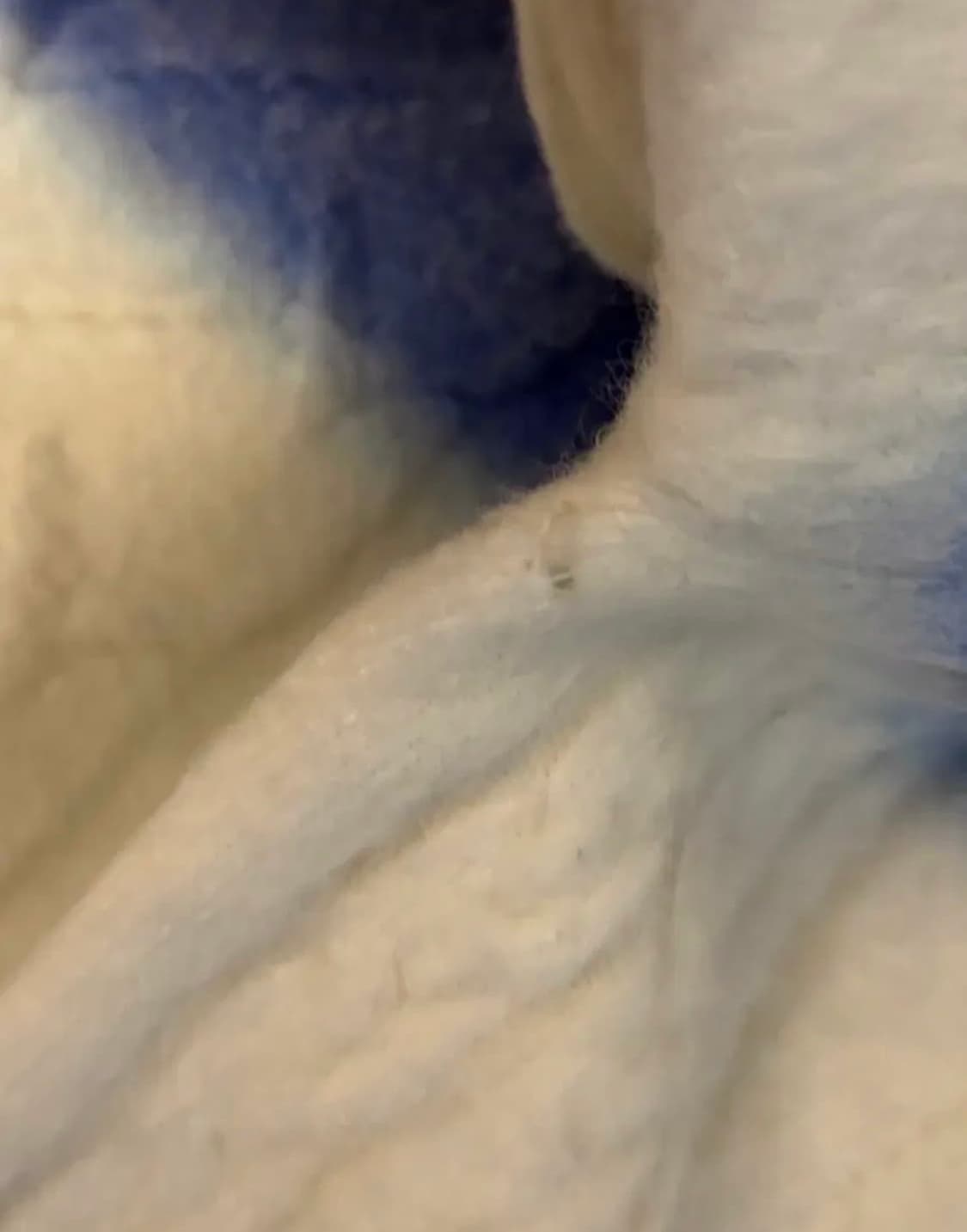 Ader(아더에러) 23fw rowy sweater 상품이미지5