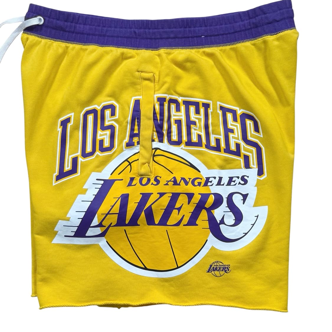 나이키 NBA LA 레이커스 75주년 쇼츠 반바지 상품이미지3