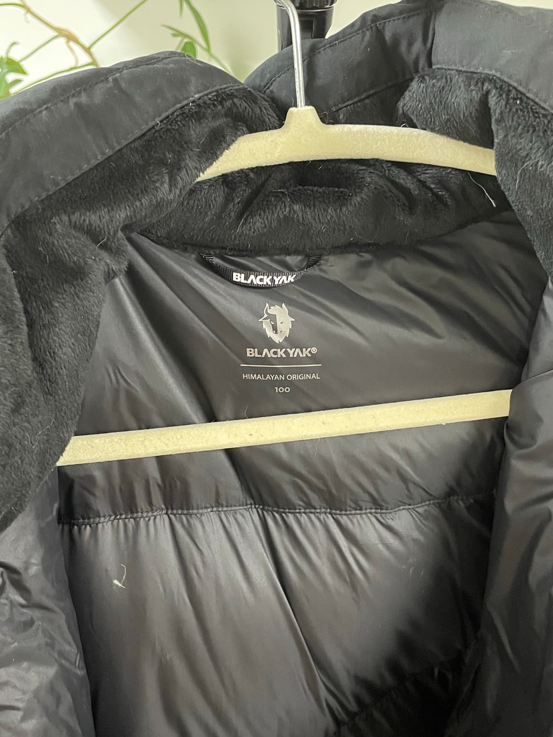 노스페이스 패딩 눕시 엘라다운 상품이미지8