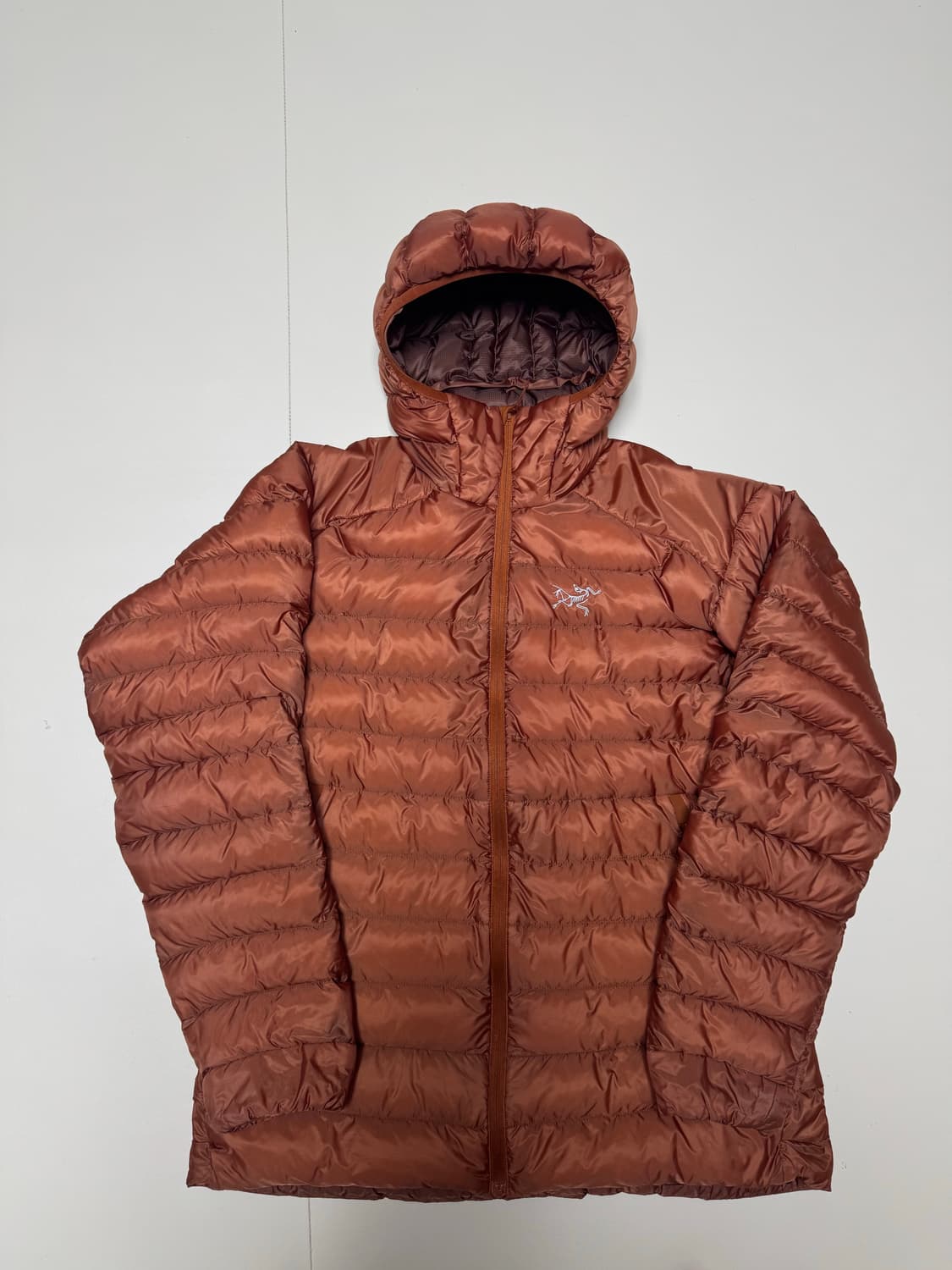 L 아크테릭스 세륨 LT 코모레비 / 후디 상품이미지1