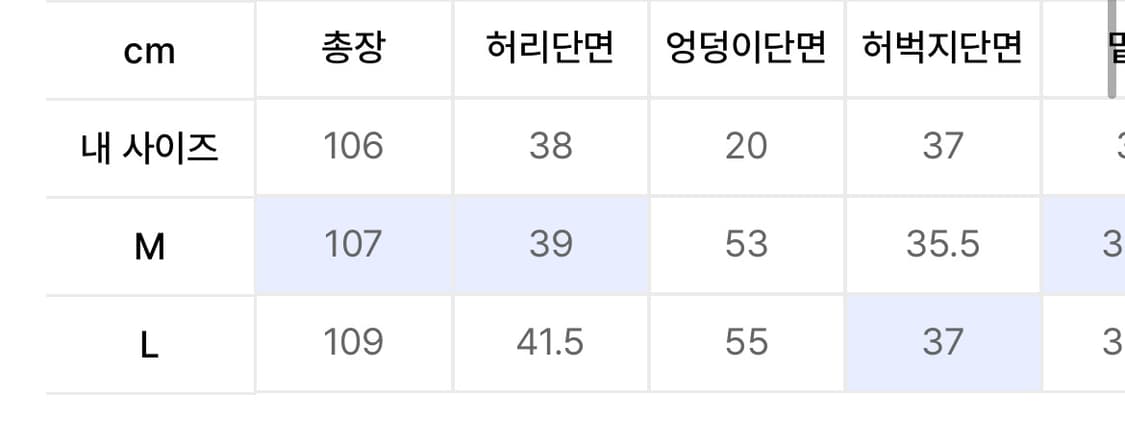 (M)블루썬플라워 세미 와이드 카고 팬츠 상품이미지3