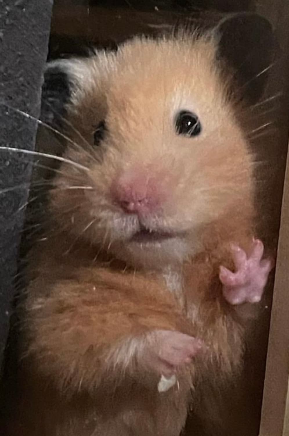 니트집업결제 상품이미지1