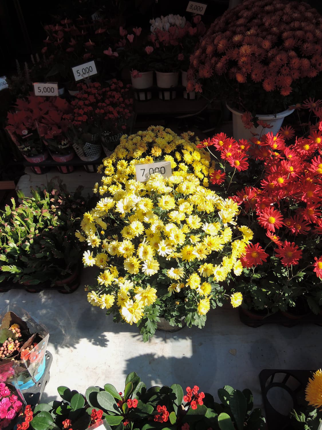 니콘 쿨픽스 p330 상품이미지5