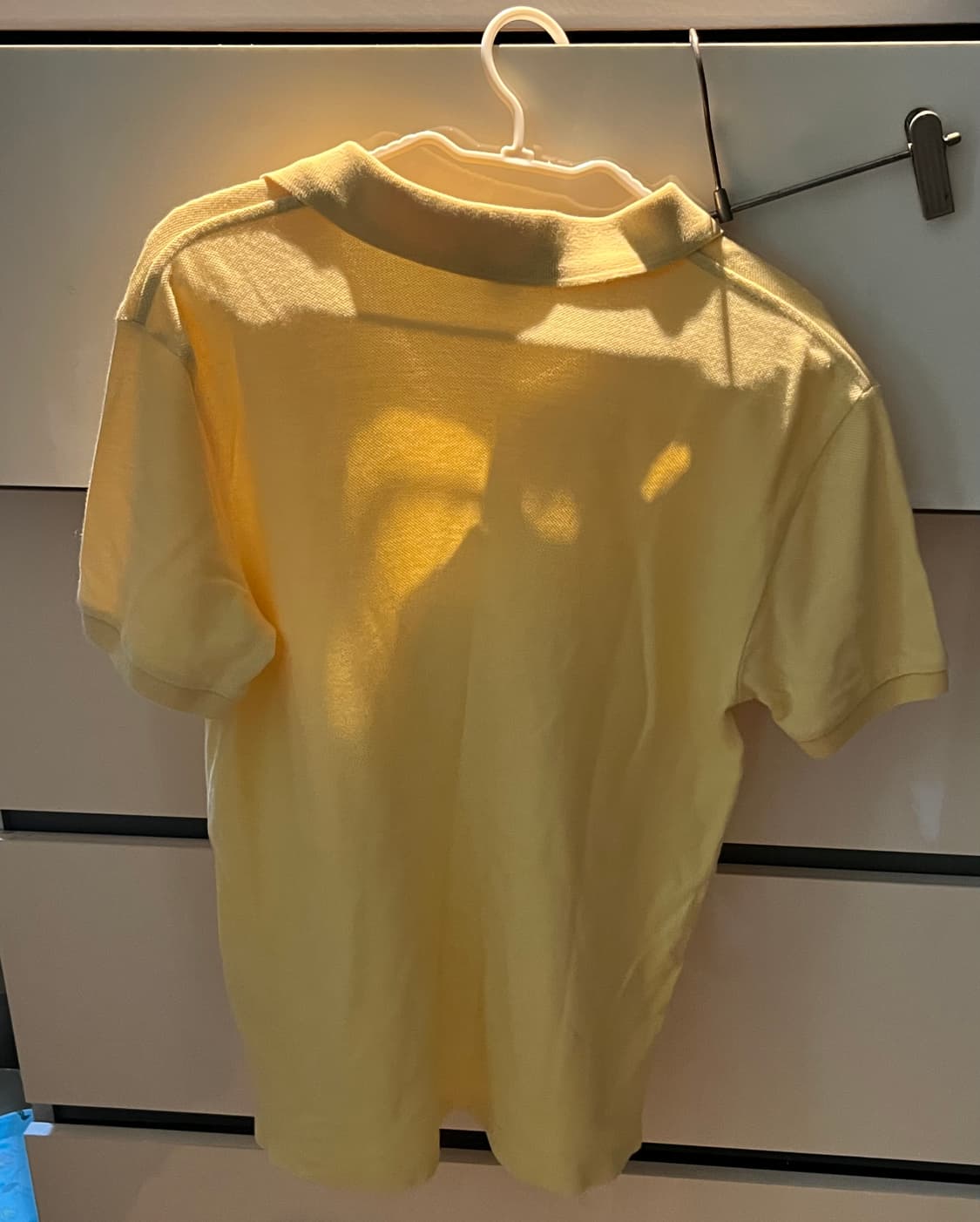 폴로 카라티 반팔 상품이미지2