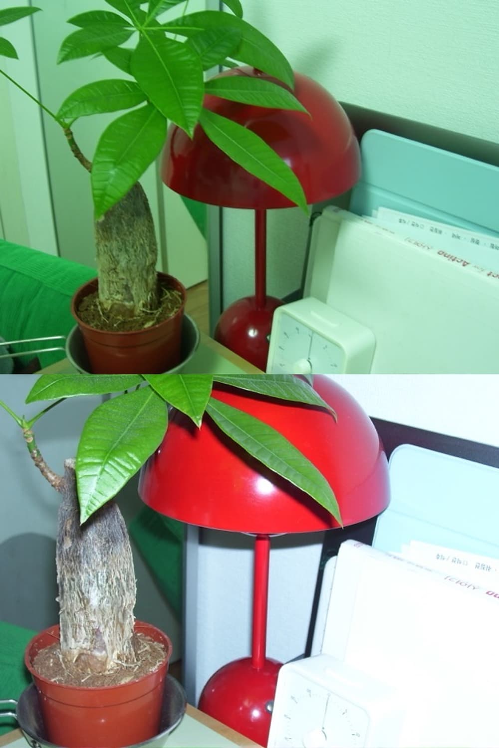 코닥 이지쉐어 C340 빈티지 디지털카메라 상품이미지9