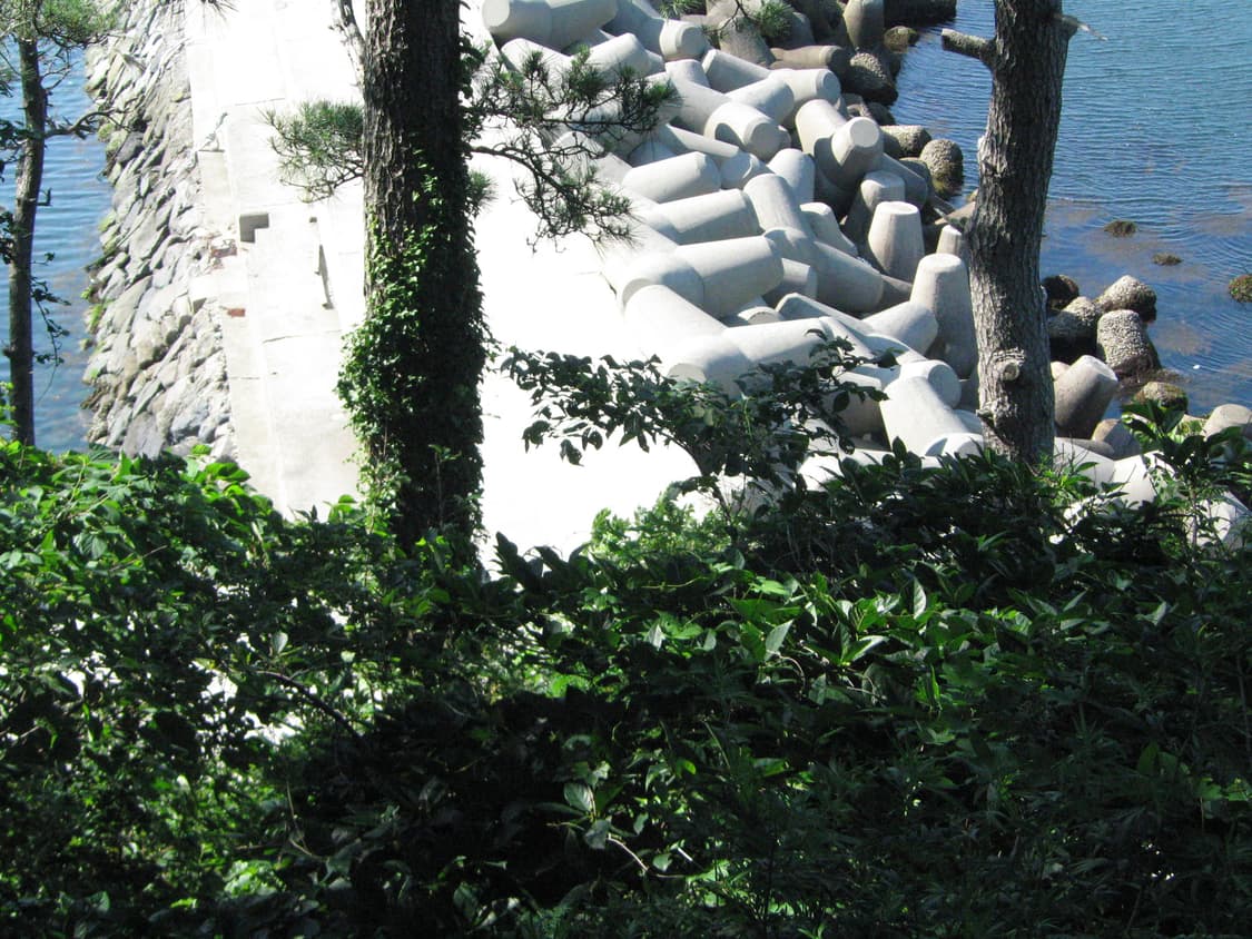 캐논 tx1 (작례o) 상품이미지7