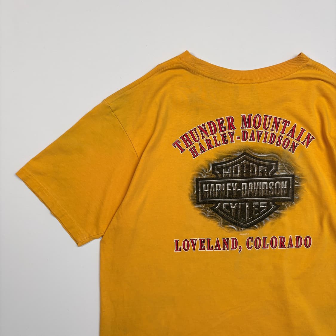[XL] USA Harley-Davidson Fire T-shirt 상품이미지8
