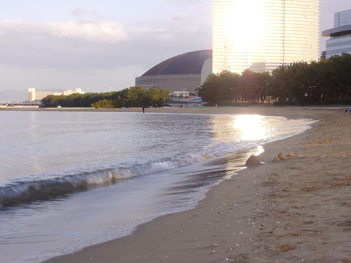 롤라이 파워플렉스 820 (rollei powerflex 820) 상품이미지4