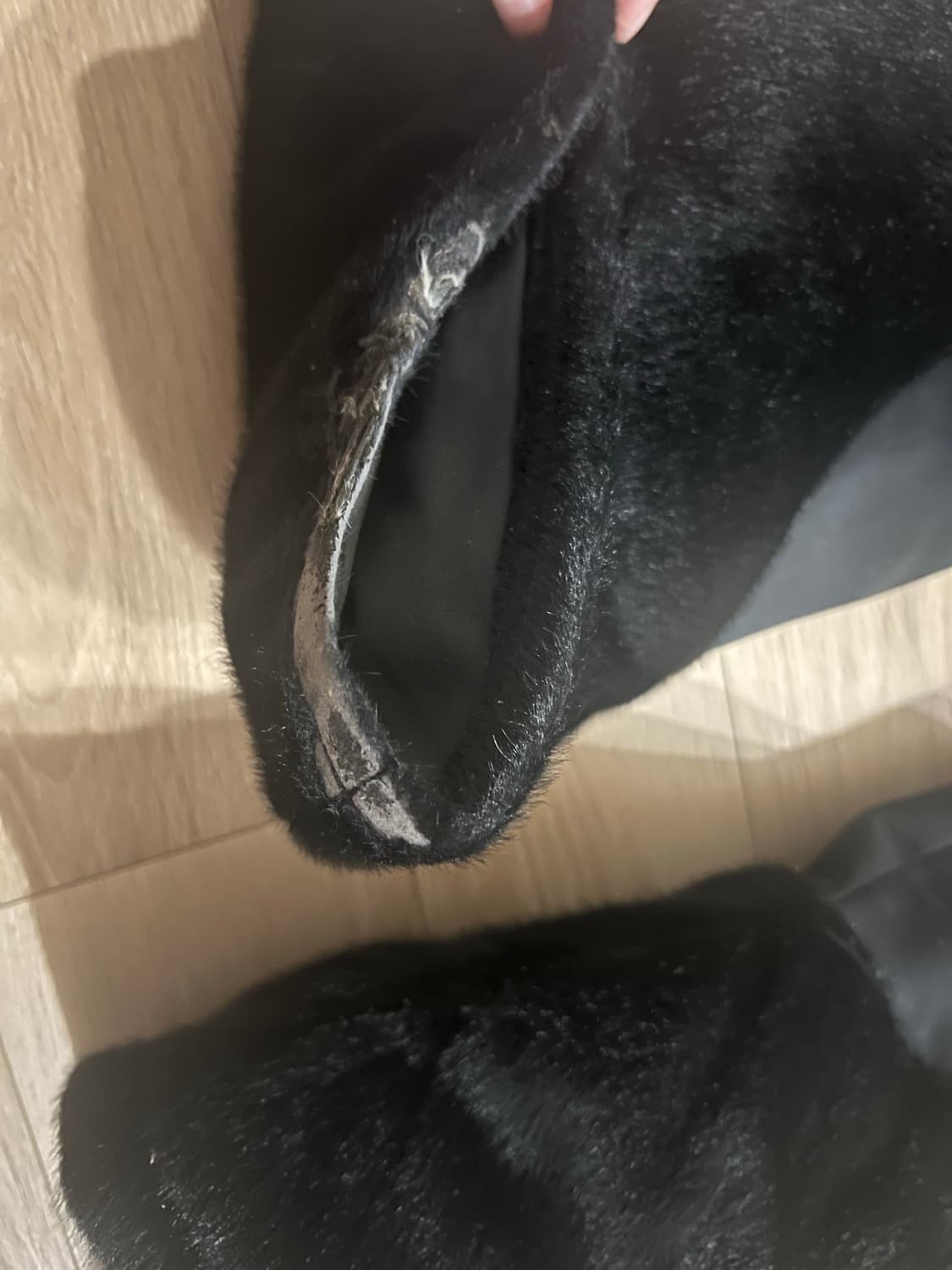 yyyy FUR ROCKET TROUSERS 상품이미지3