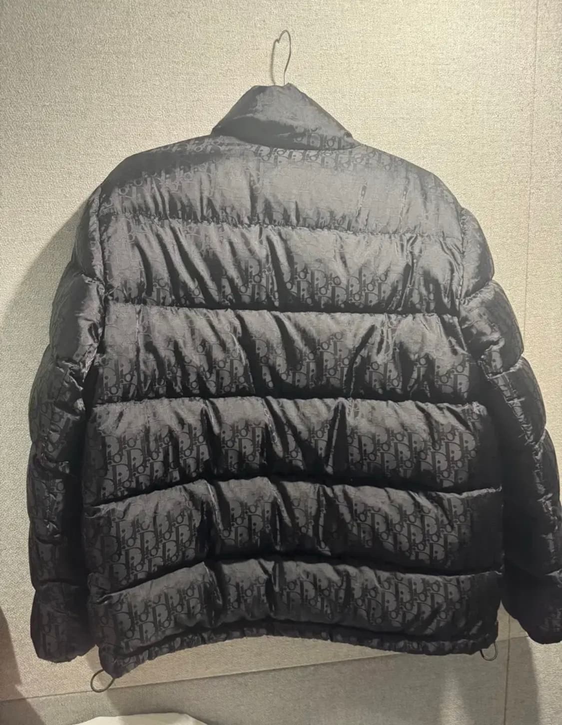 디올 오블리크 패딩 46 상품이미지2