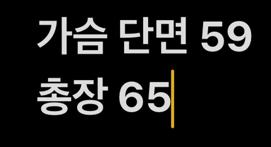 [정품/95,m] NC 다이노스 야구 점퍼 자켓 b15 상품이미지8