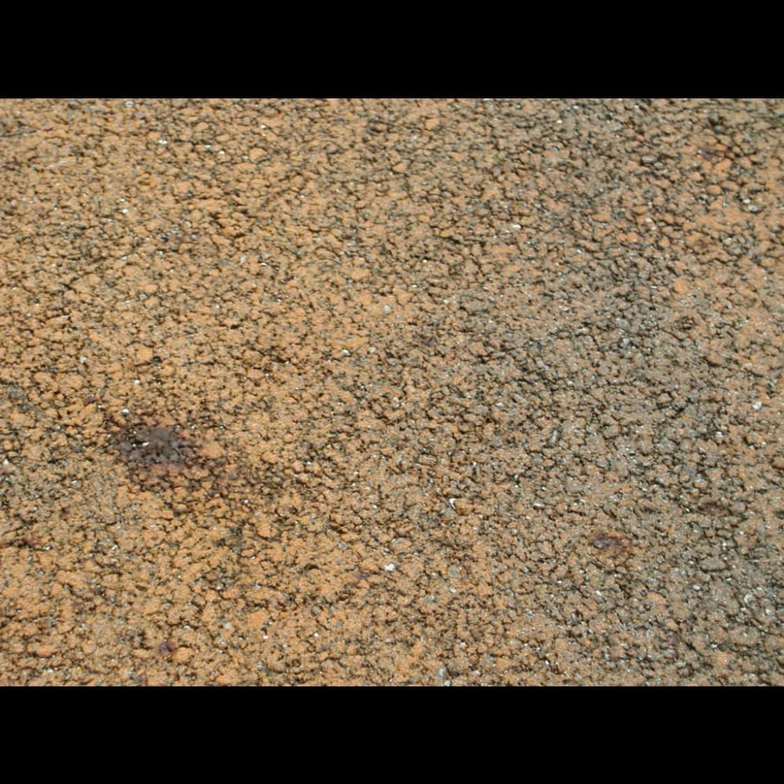 작례⭕️ 니콘 쿨픽스 880 메탈릭 실버 빈티지 🤍 상품이미지3