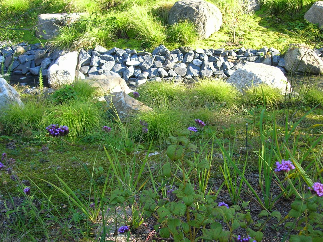 니콘 쿨픽스 5600 상품이미지9