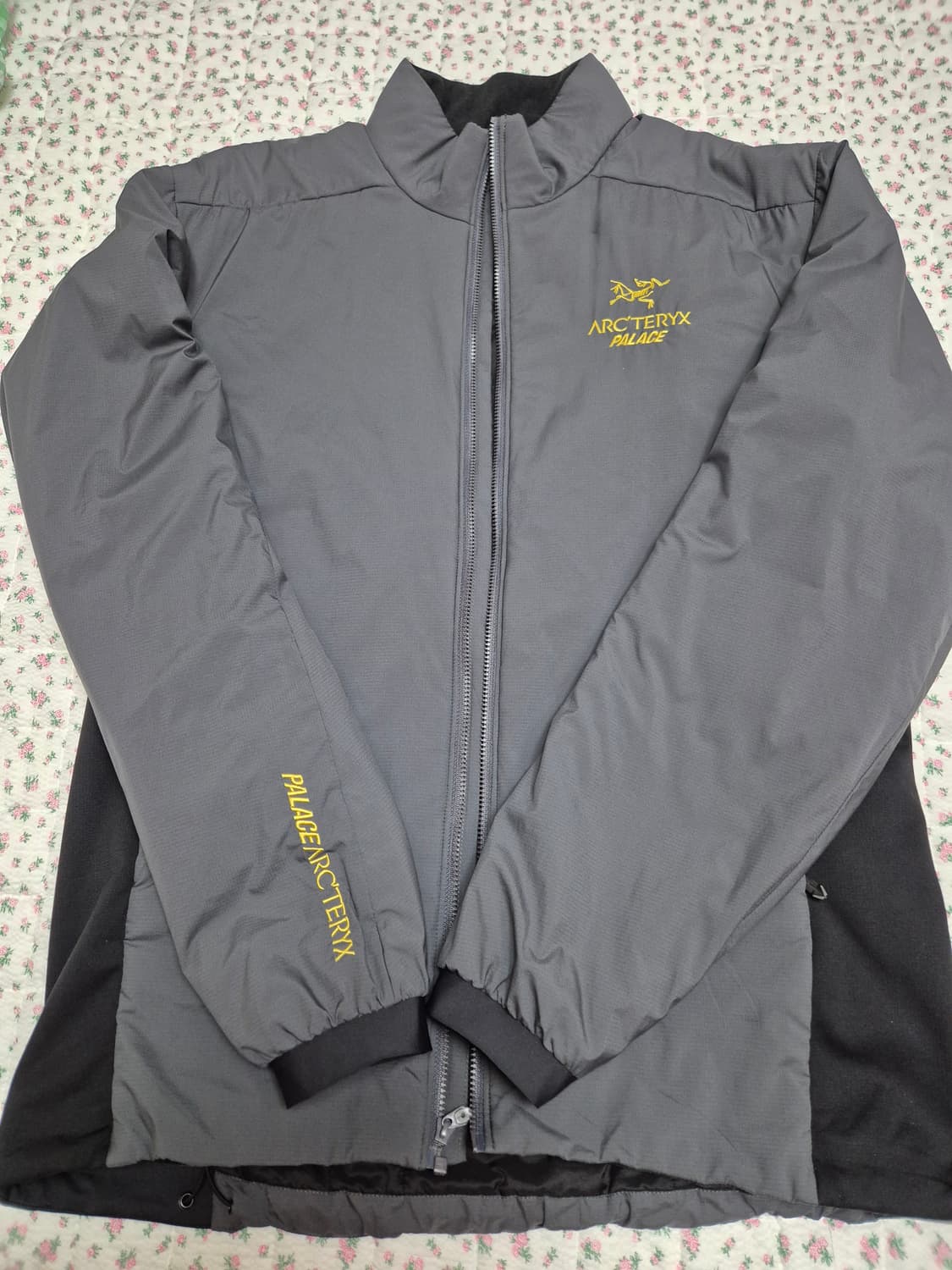 M) 아크테릭스 팔라스 아톰 Lt 자켓 상품이미지1