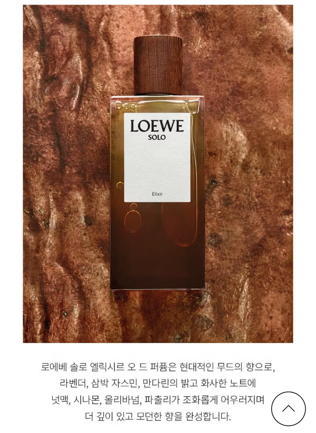 로에베 향수 Solo Elixir ODP 상품이미지3