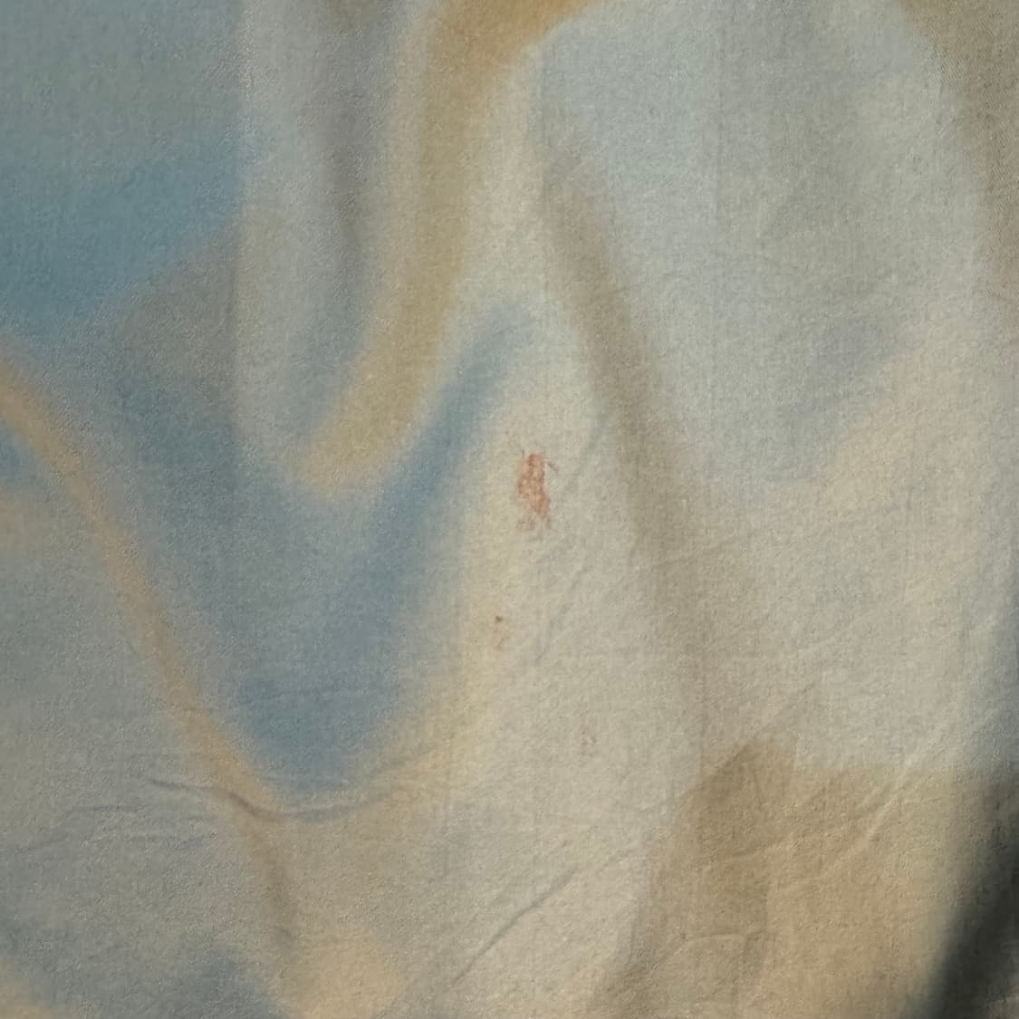 칼하트 반팔 셔츠 상품이미지6