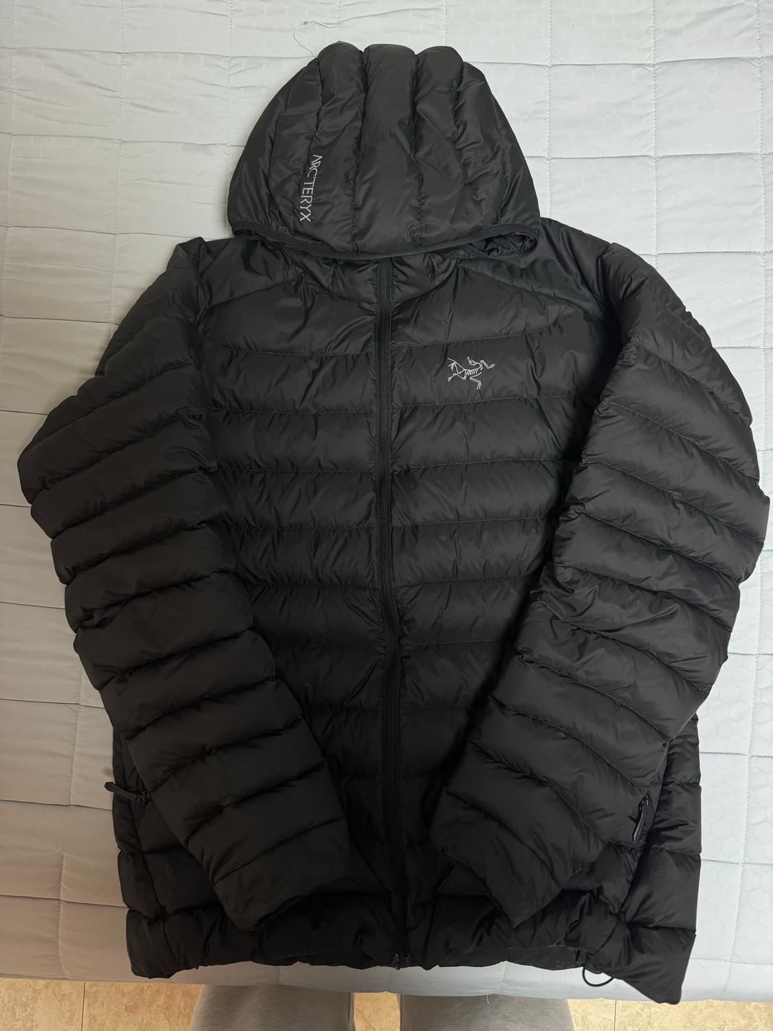 아크테릭스 세륨 L 블랙 상품이미지1