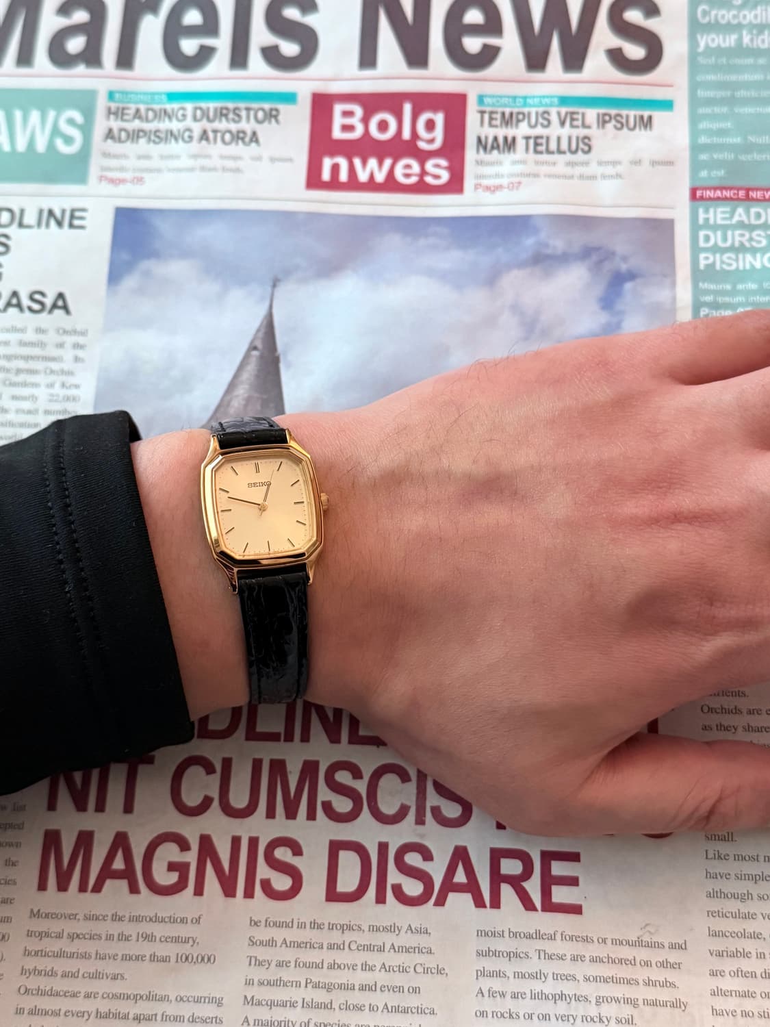 세이코 Seiko 스퀘어 골드 상품이미지4