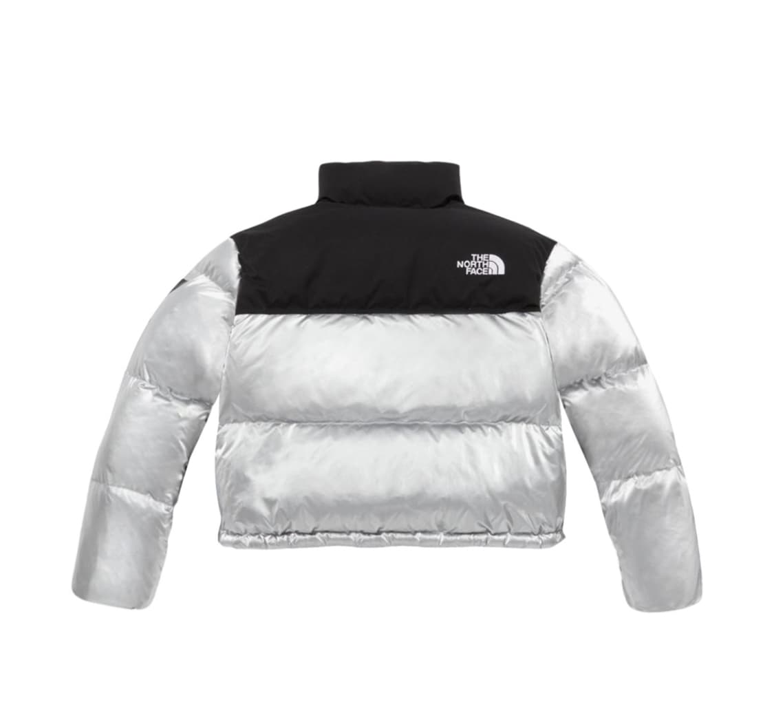 노스페이스 눕시 실버 상품이미지2