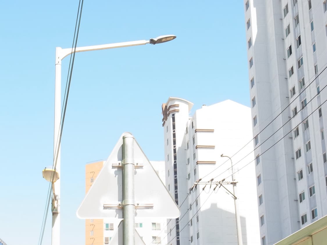 리코 cx5 (작례o) 상품이미지4