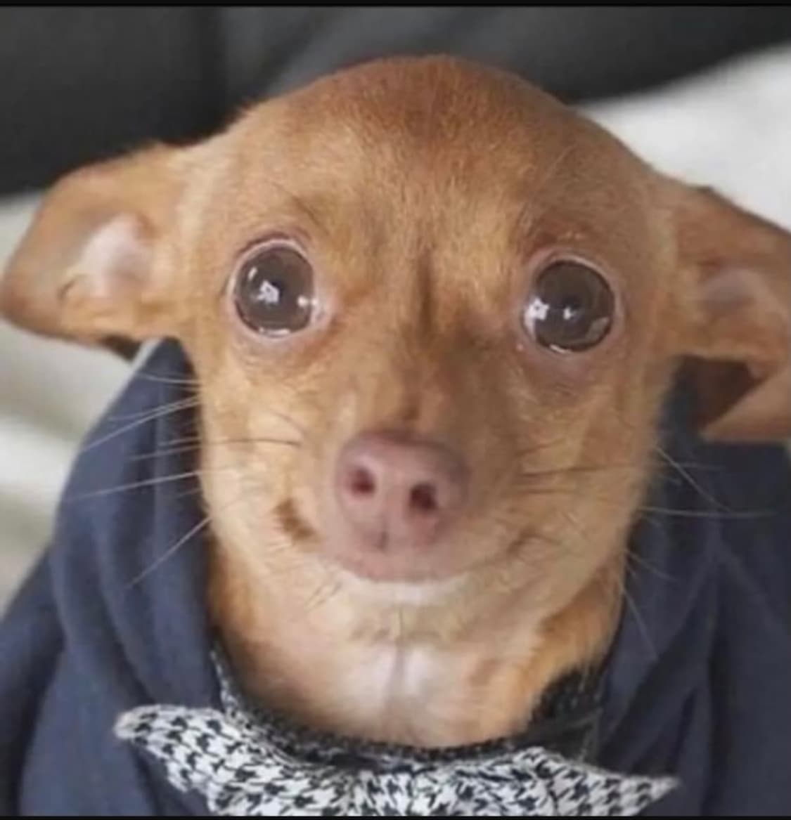 전용결제칸 상품이미지1