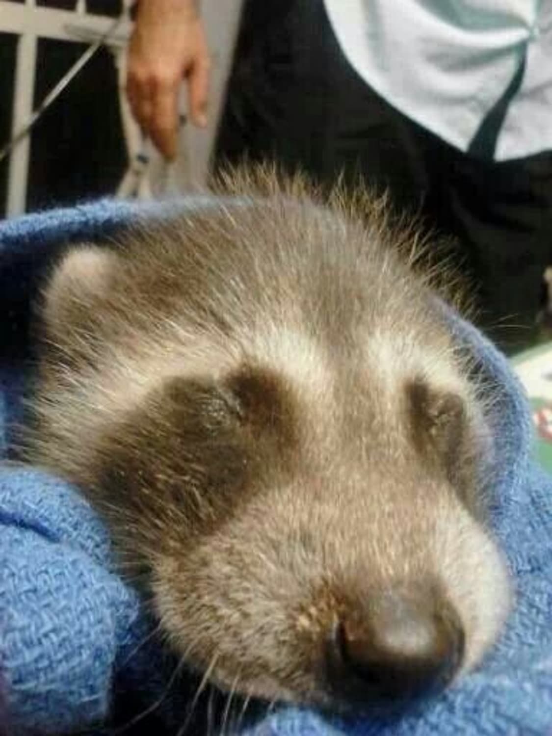 합배송 상품이미지1