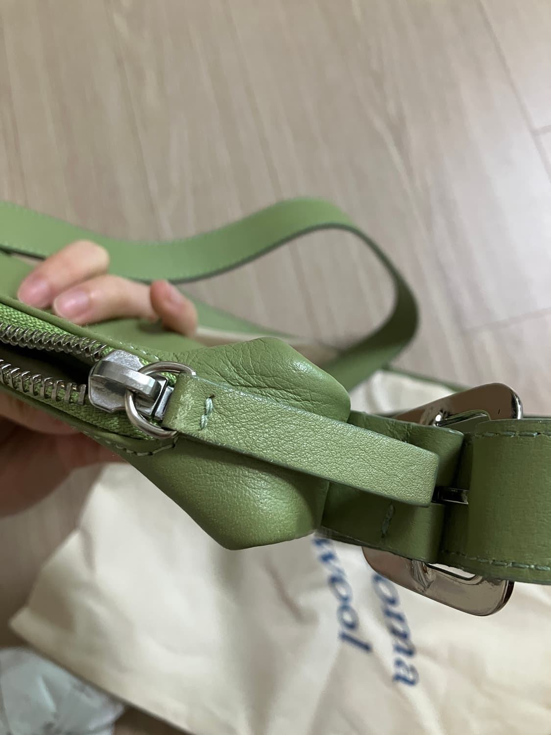 팔로마울 미니빈 그린 507 상품이미지8