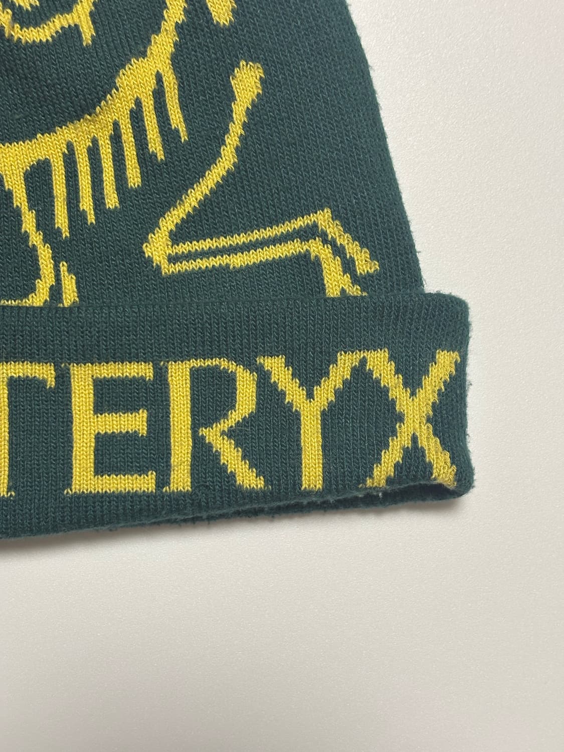 아크테릭스 비니 상품이미지2