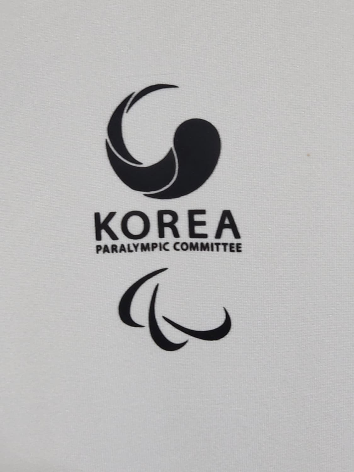 (L) 노스페이스 기능성 반팔티 화이트 스판 티셔츠  상품이미지4