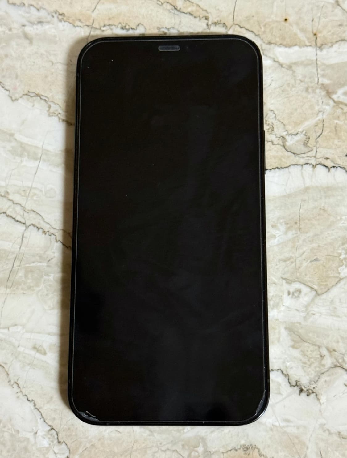 아이폰 12pro 128기가 퍼시픽블루 상품이미지2
