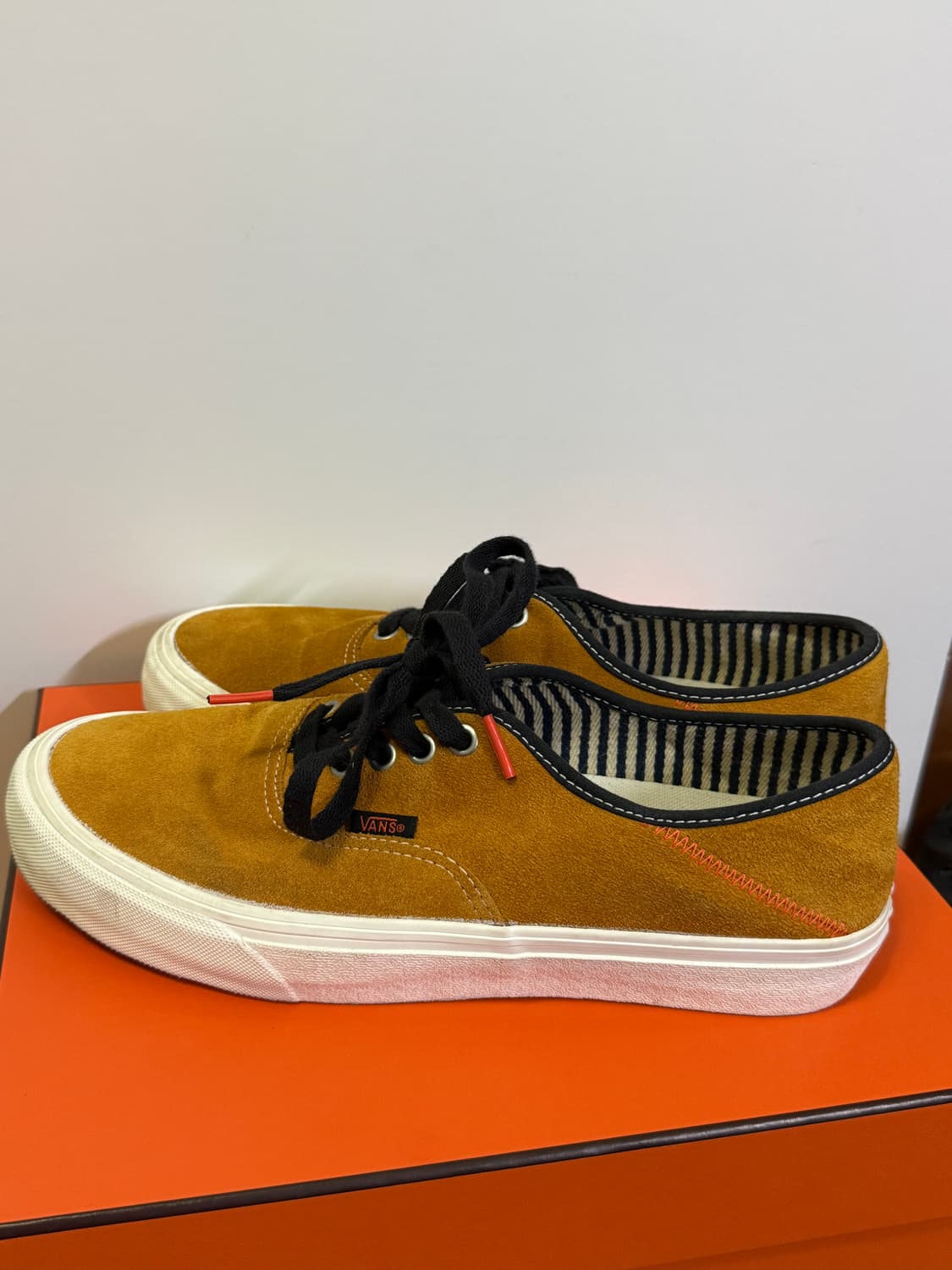 반스 그로쓰 가든 선플라워 상품이미지3