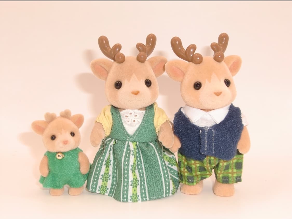 메이크업🧚‍♀️한글지원🤎카시오 EX-Z450 브라운 상품이미지3