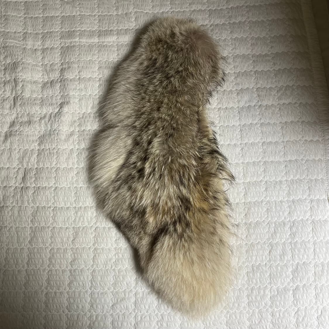 마틴 마르지엘라 08fw 코요테 퍼 머플러 상품이미지2